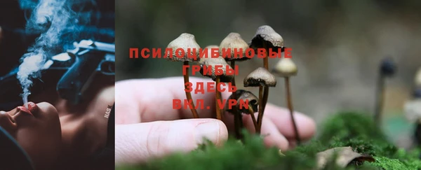 гашик Алзамай