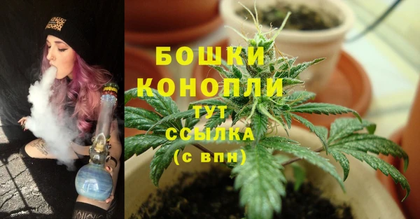 PSILOCYBIN Покачи