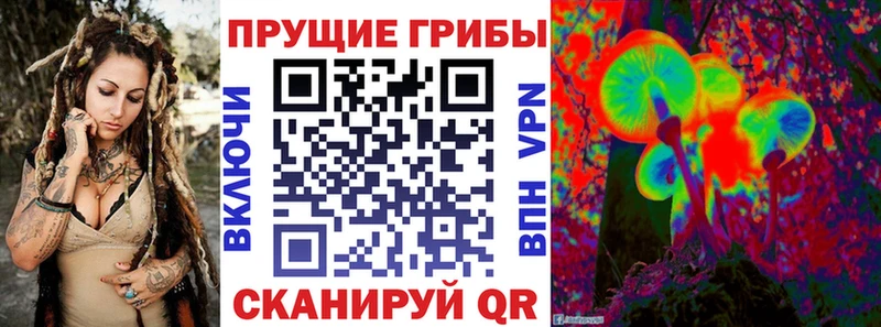купить наркотик  Курлово  Галлюциногенные грибы GOLDEN TEACHER 